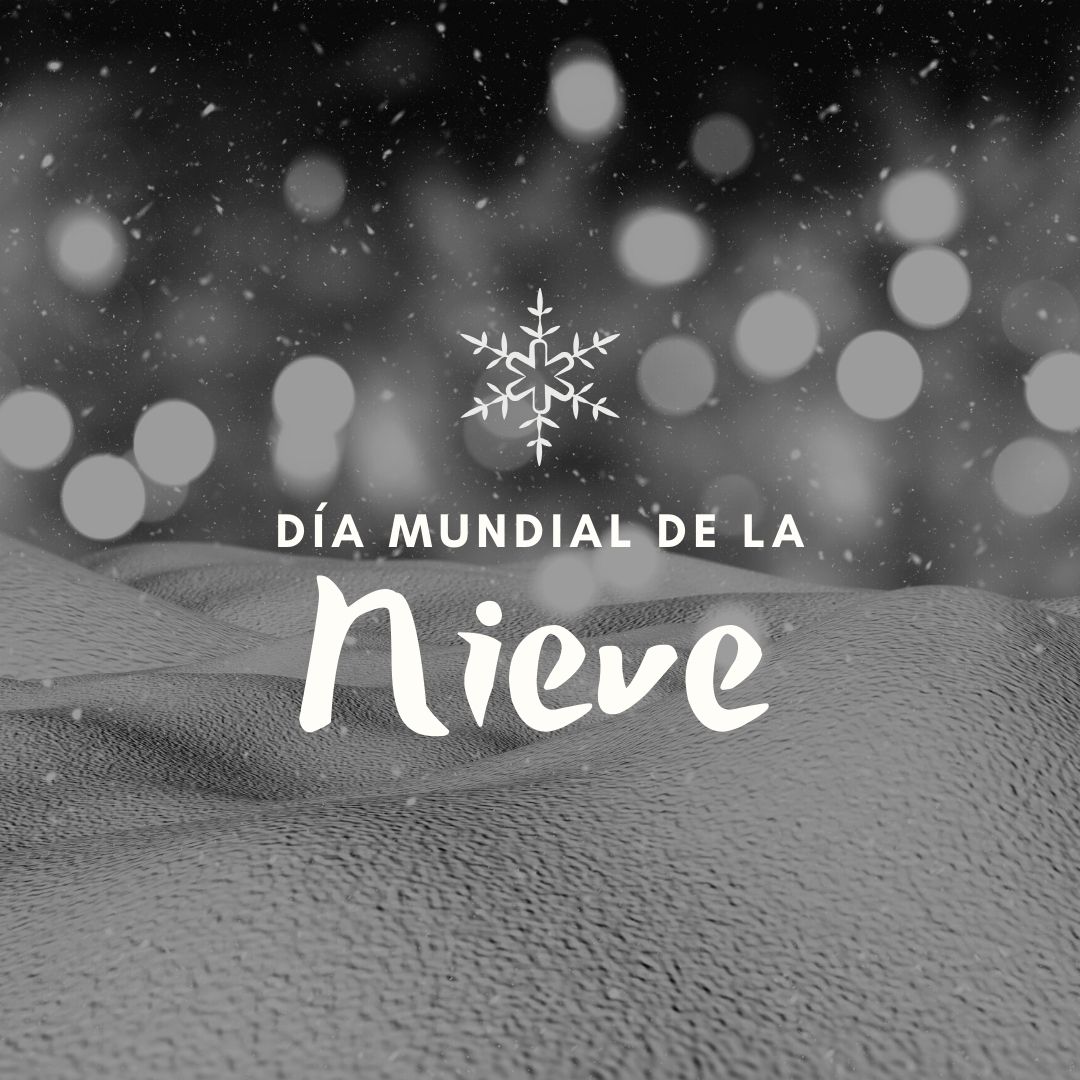 Día de la nieve