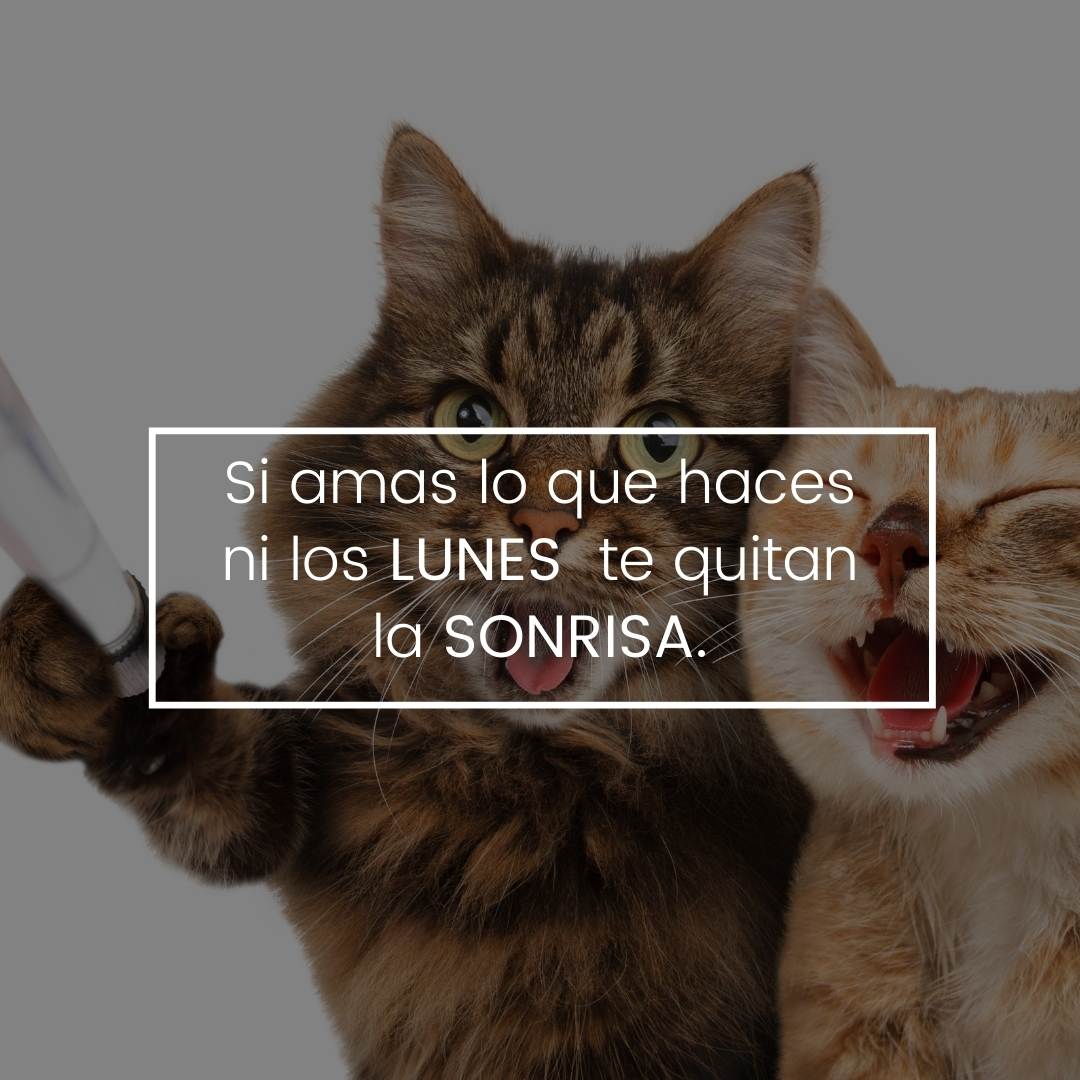 Empecemos el lunes sonriendo