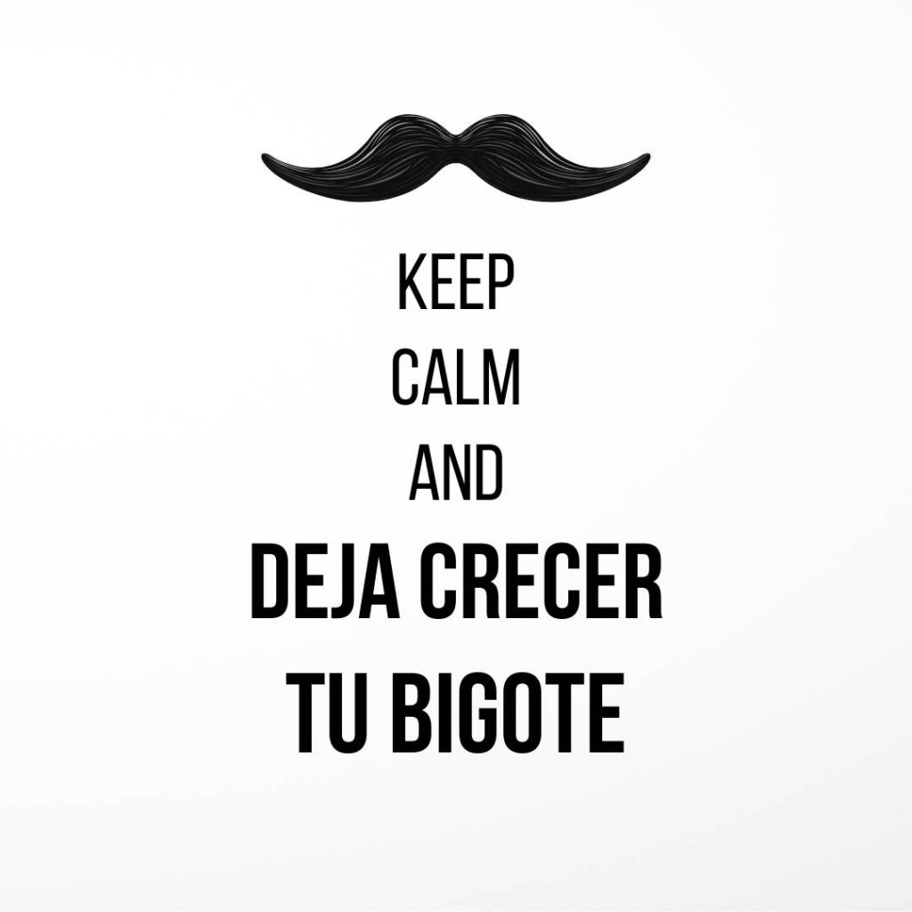 Movember: Keep Calm and deja crecer tu bigote