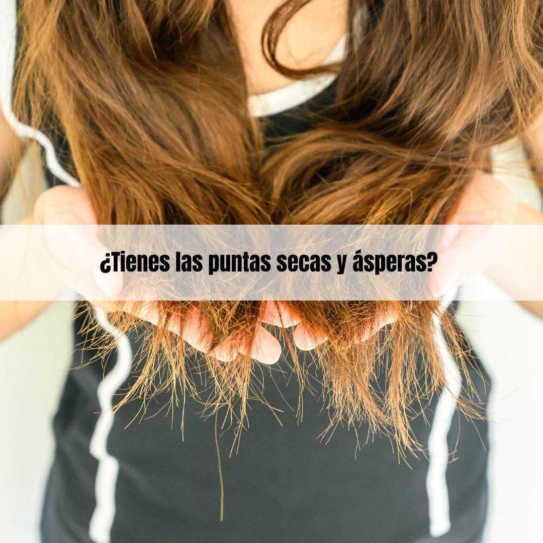 ¿Tienes las puntas secas y ásperas?