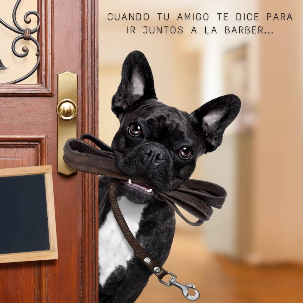 ¿Te vienes con tu amigo?