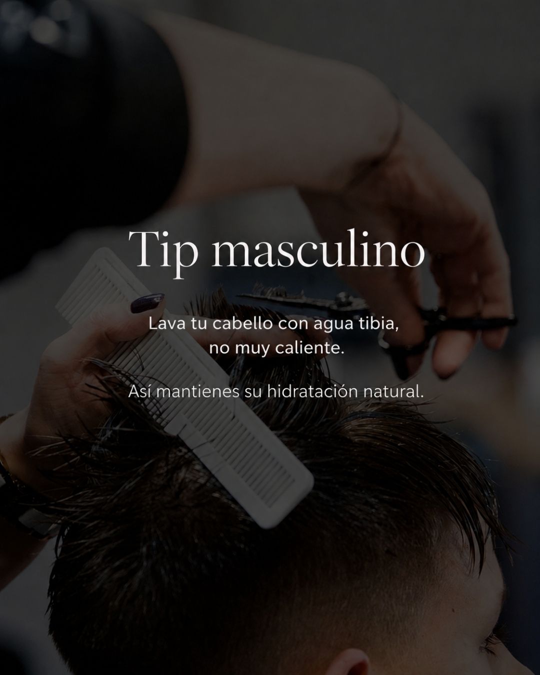 Tip masculino