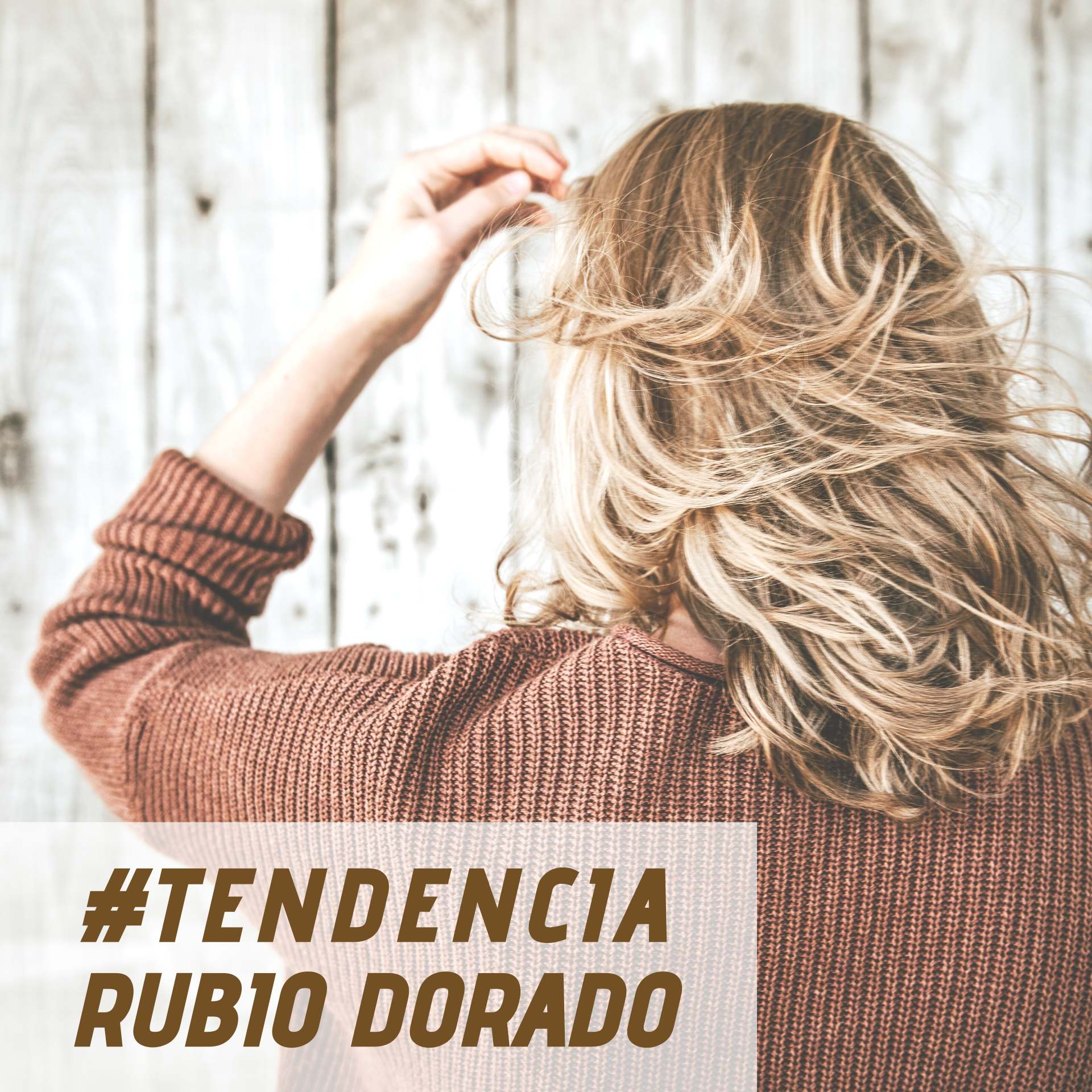 Tendencias | Colores de cabello