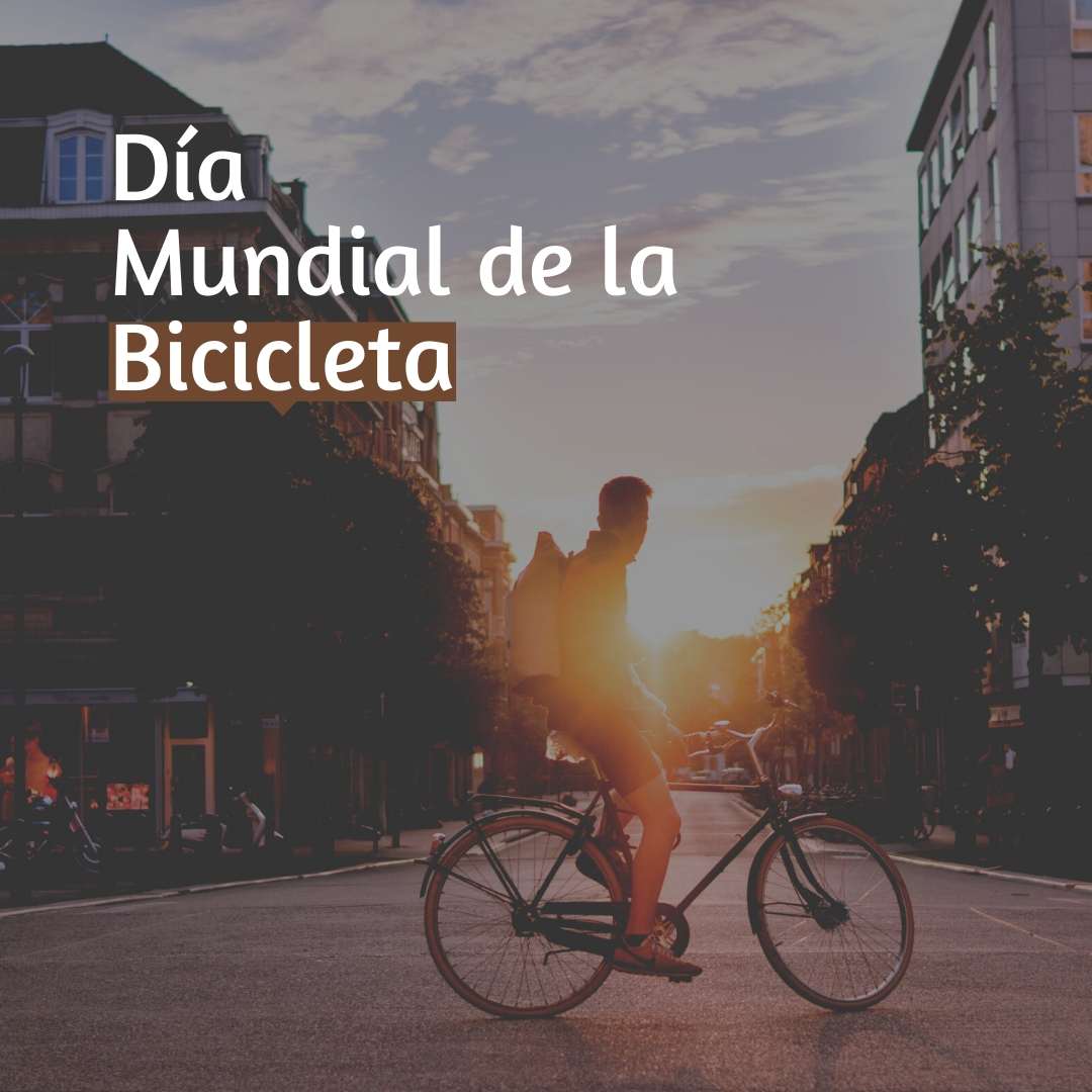 19 de abril: Día Mundial de la Bicicleta