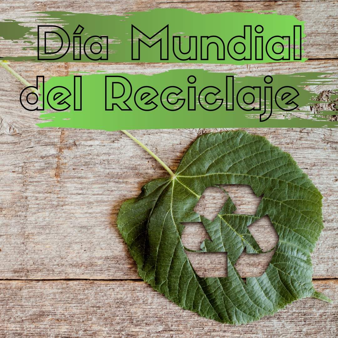 17 de mayo: Día mundial del reciclaje