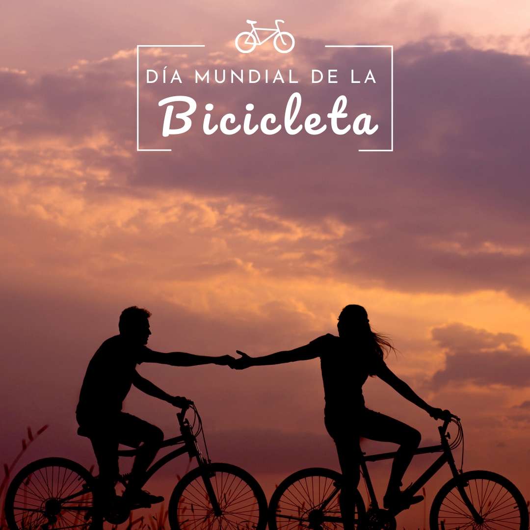 Día Mundial de la Bicicleta