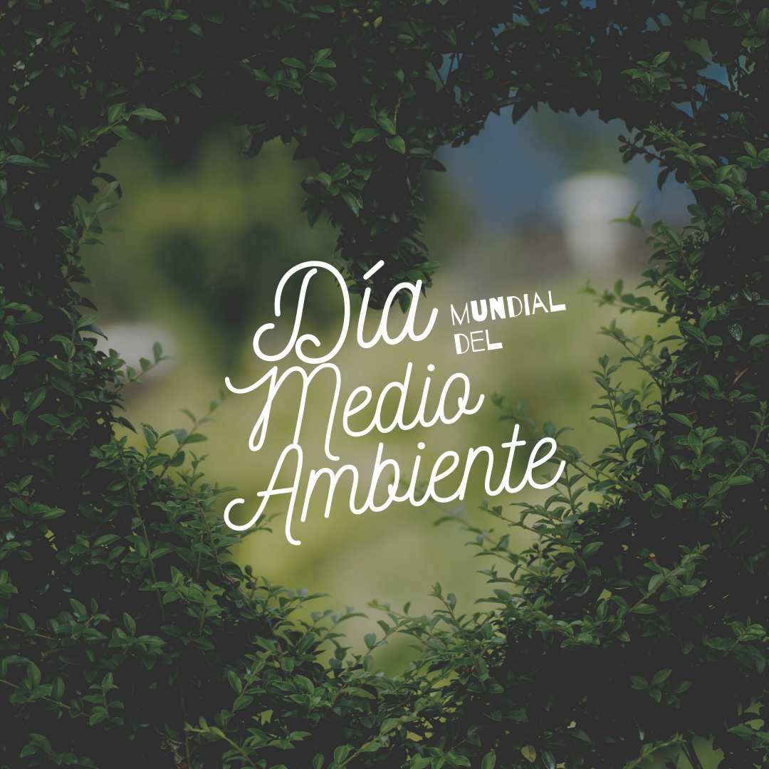 Día mundial del Medio Ambiente