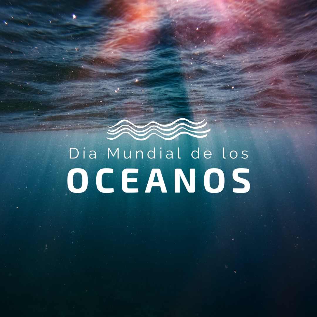 Día Mundial de los Océanos