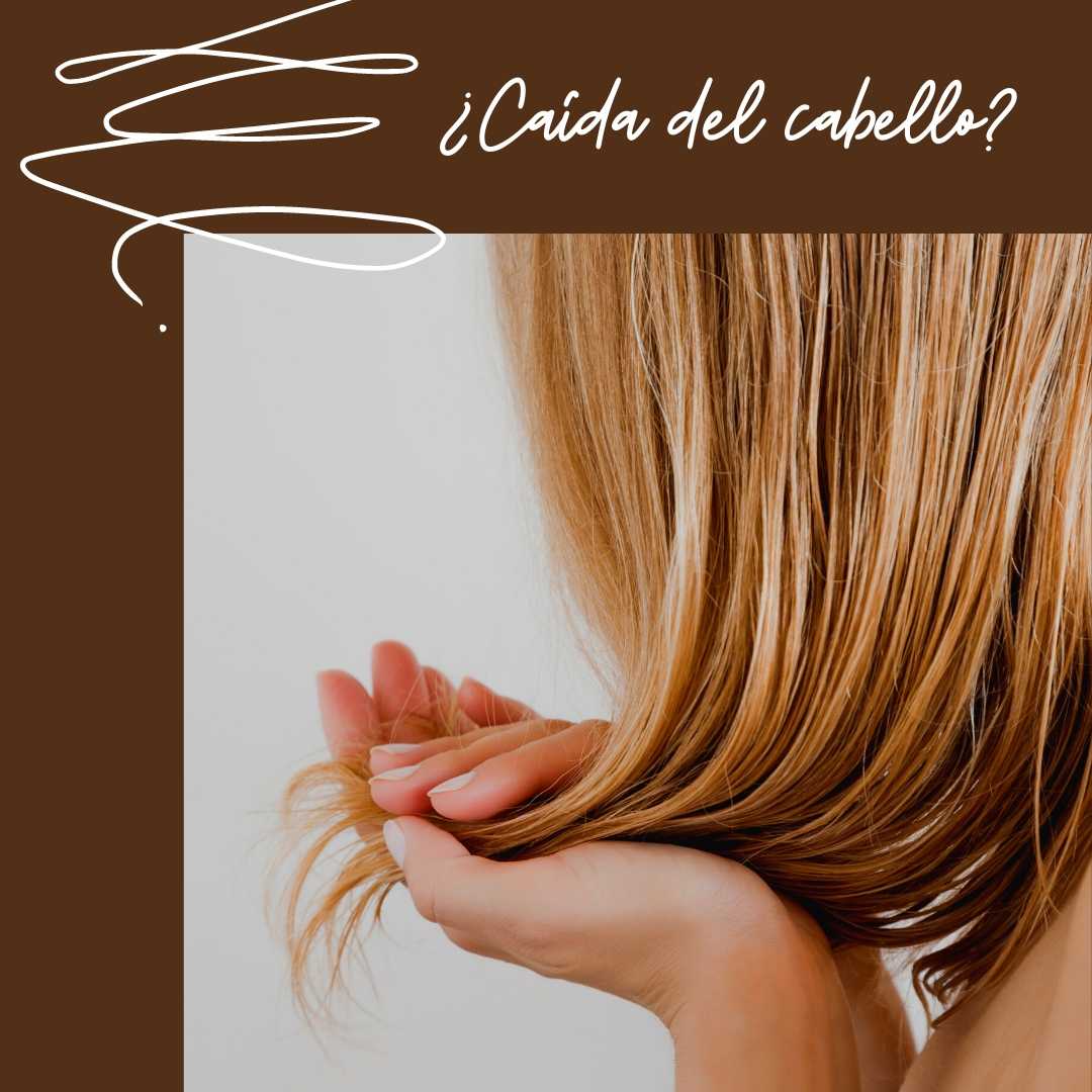 ¿Sufres de caída del cabello?