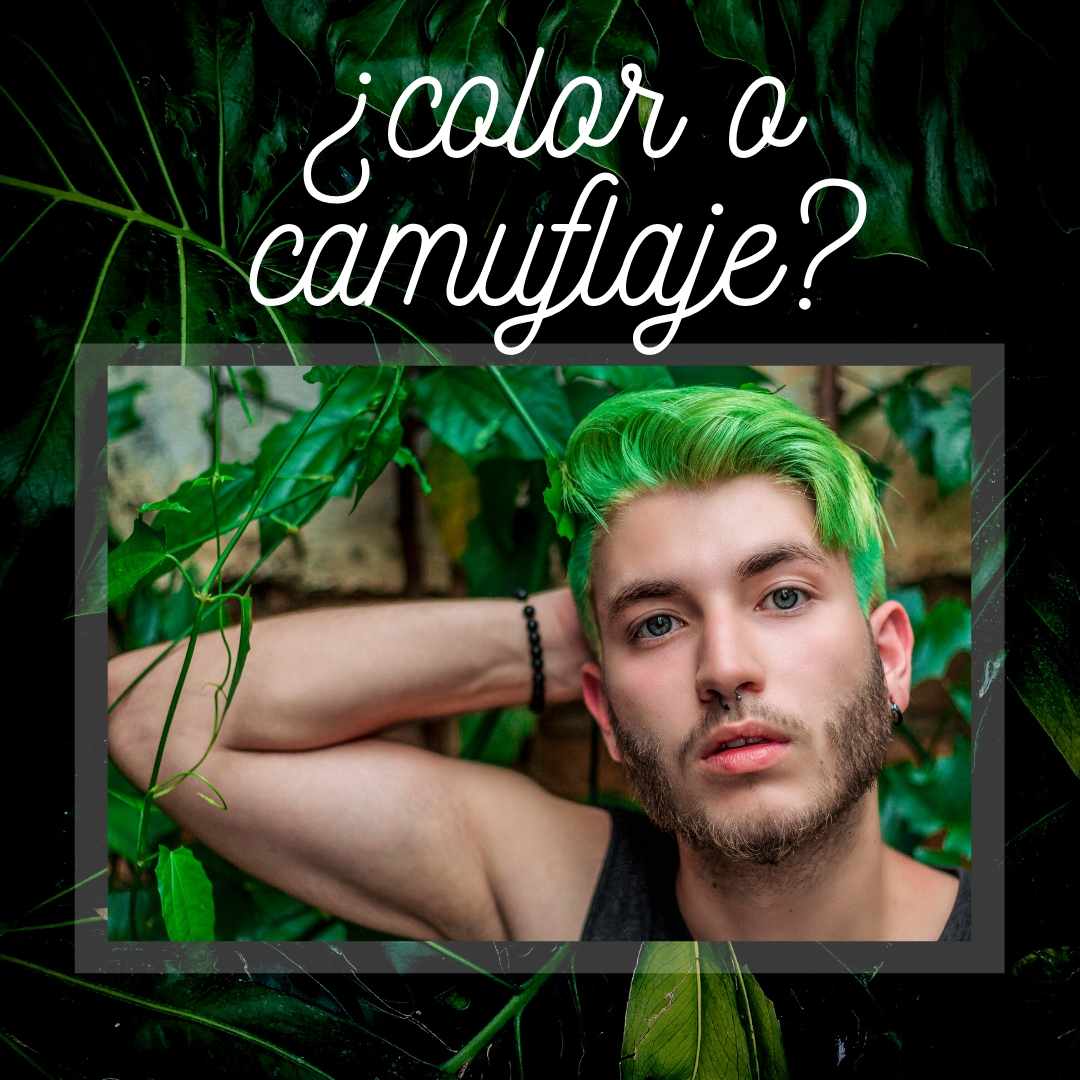 ¿Color o camuflaje?