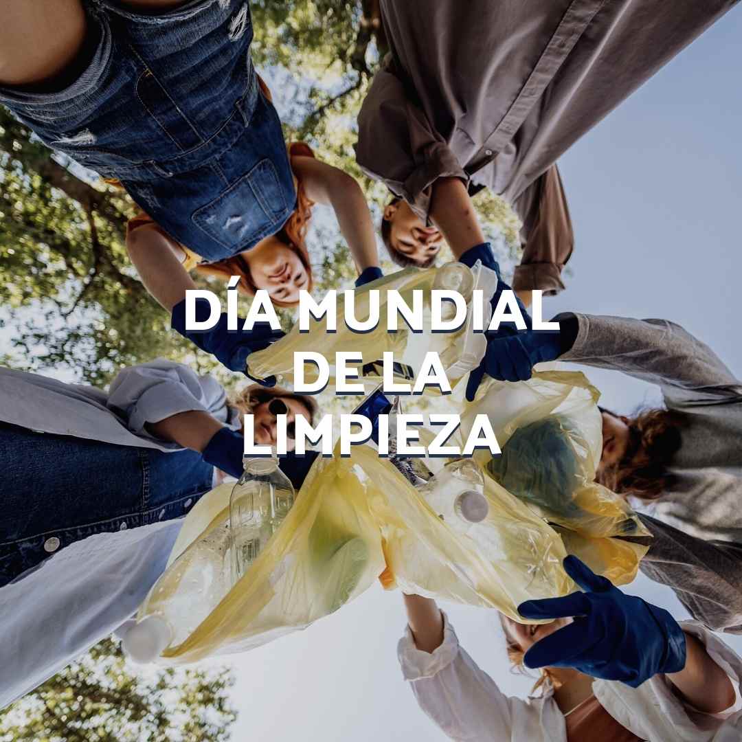 Día de la limpieza