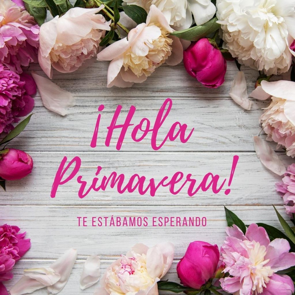 ¡Hola Primavera! Hair & Beauty