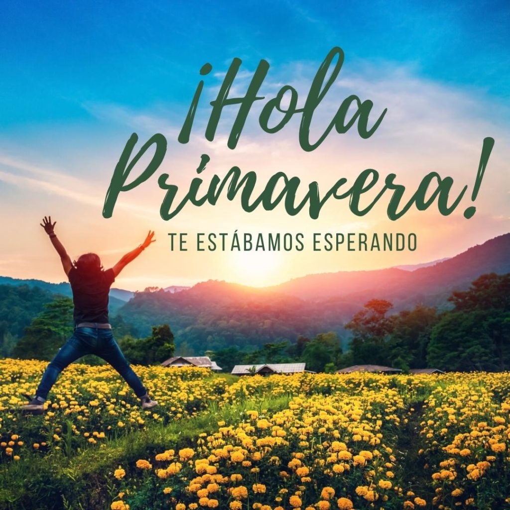 ¡Hola Primavera! Barber