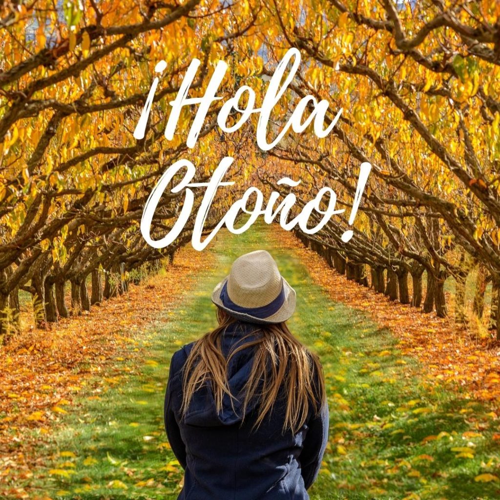 ¡Hola Otoño! Hair