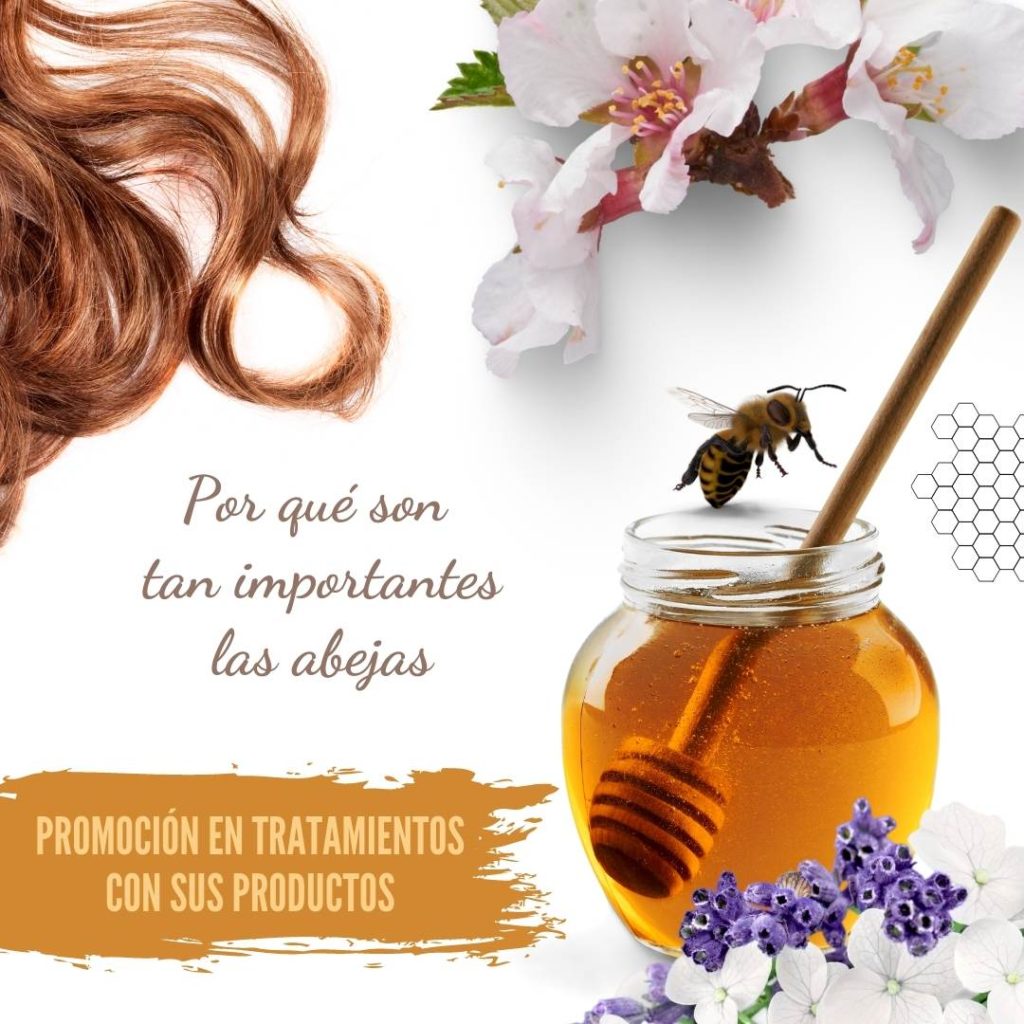 Hair Día de las Abejas