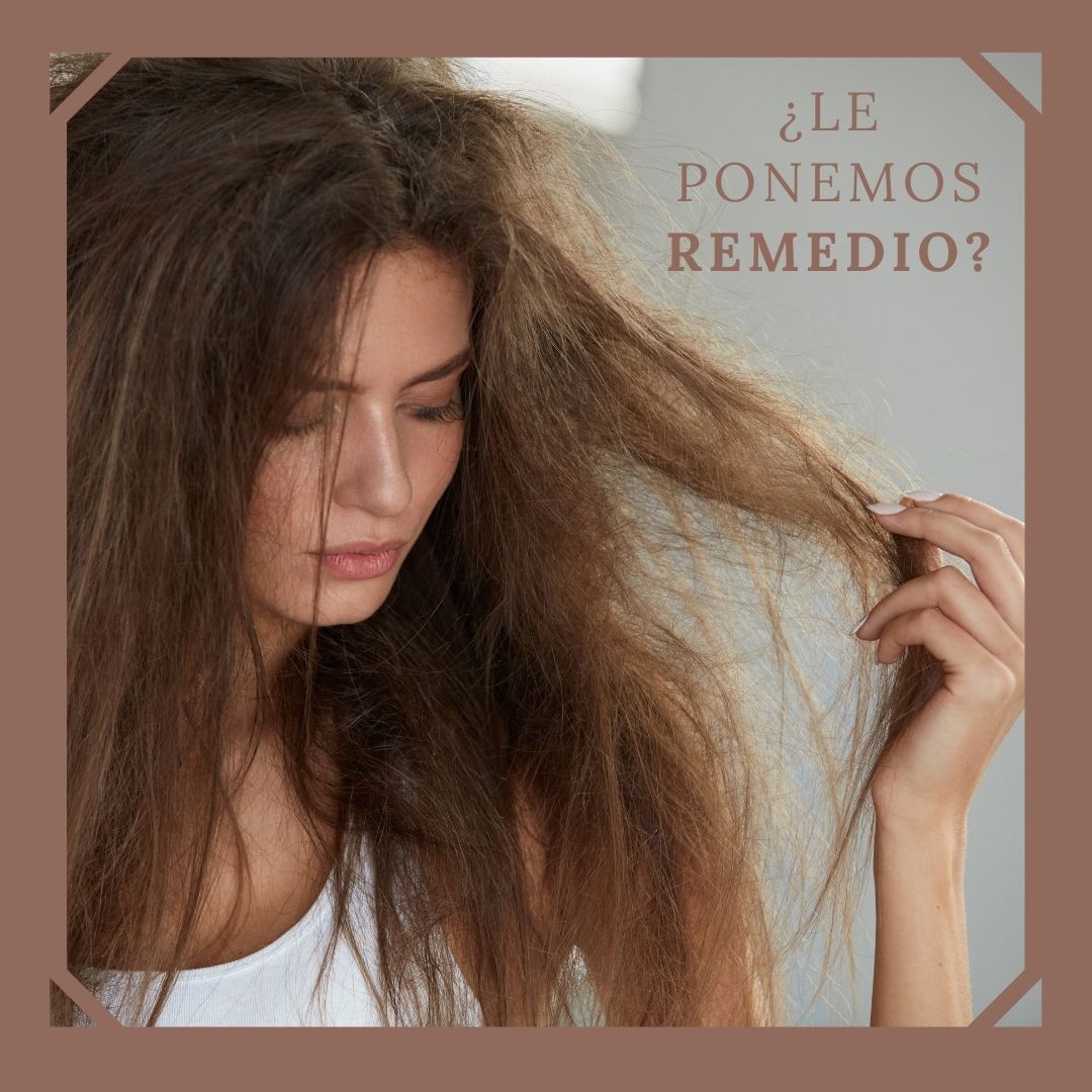 ¿Le ponemos remedio al cabello seco?