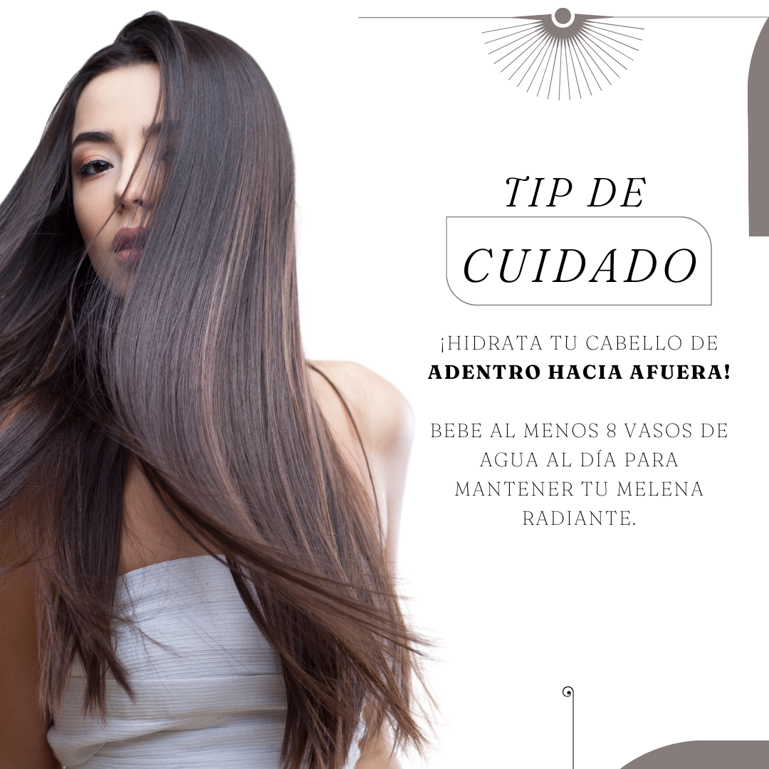 ¡Hidrata tu cabello!