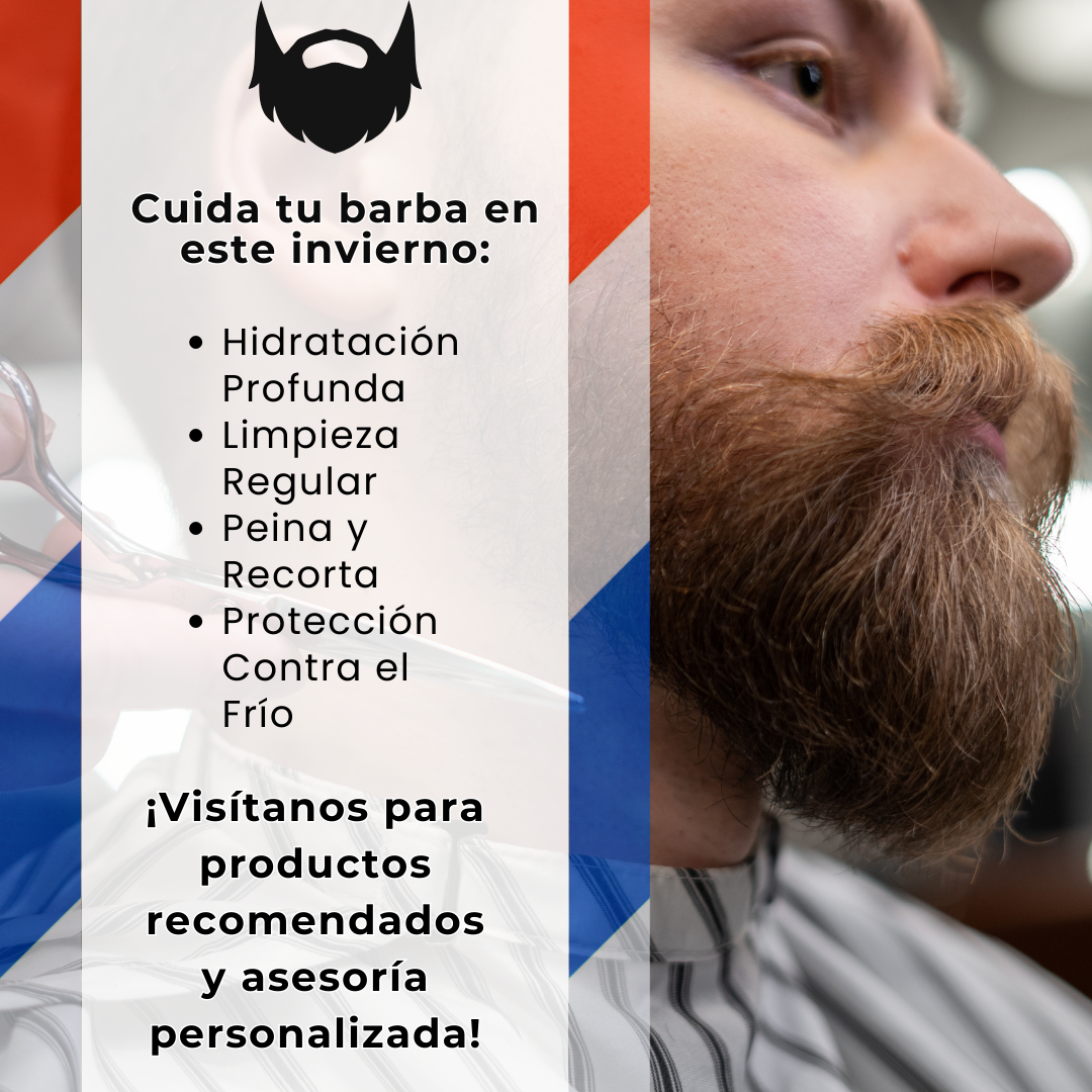 EL INVIERNO ESTA AQUI