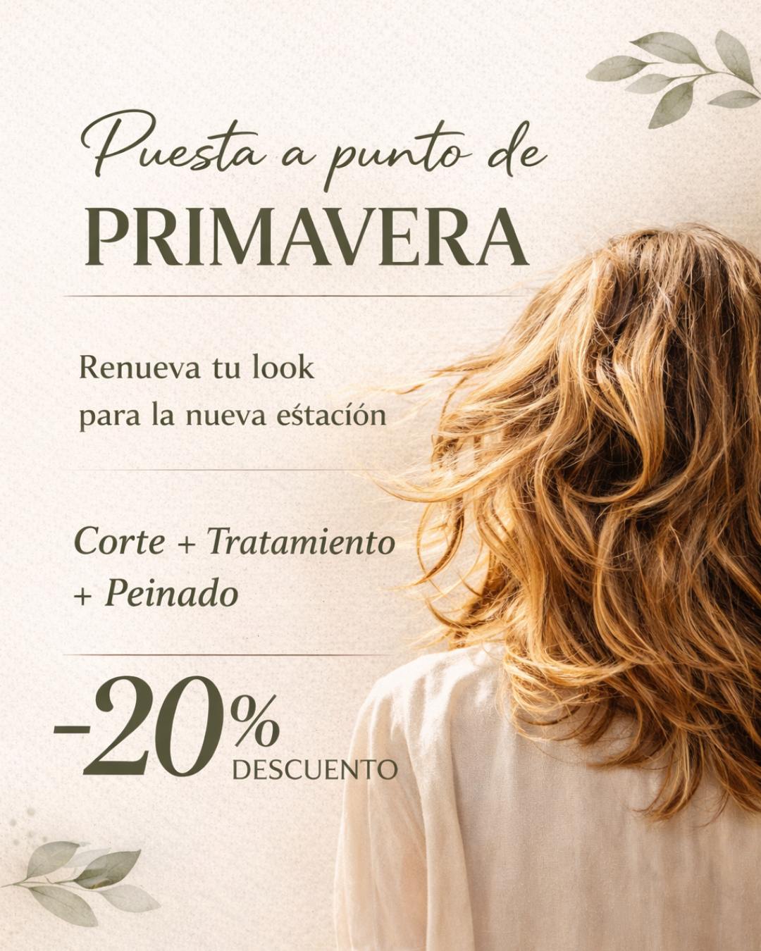 Puesta a punto de primavera