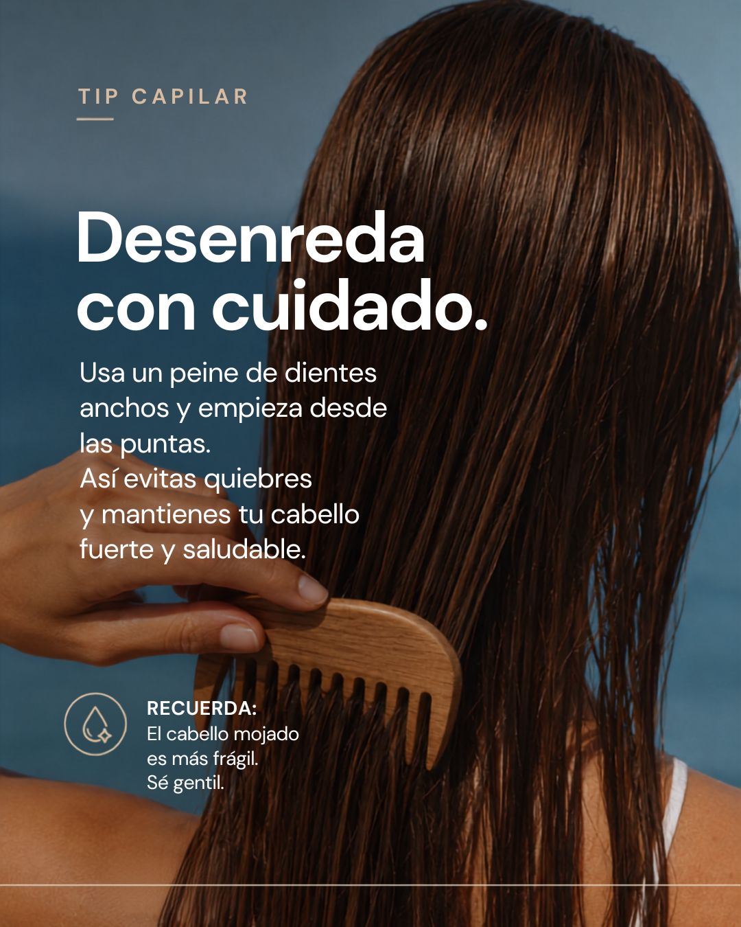 Tip capilar: desenreda con cuidado